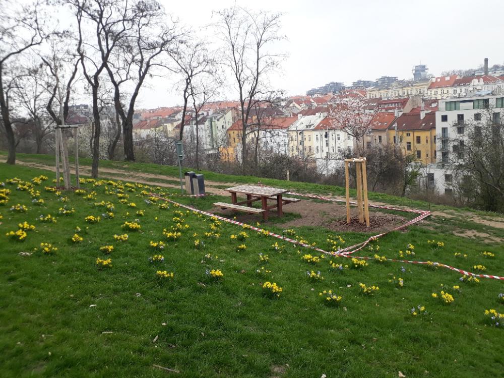 nové piknikové místo uprostřed parku s výhledem na starý Žižkov