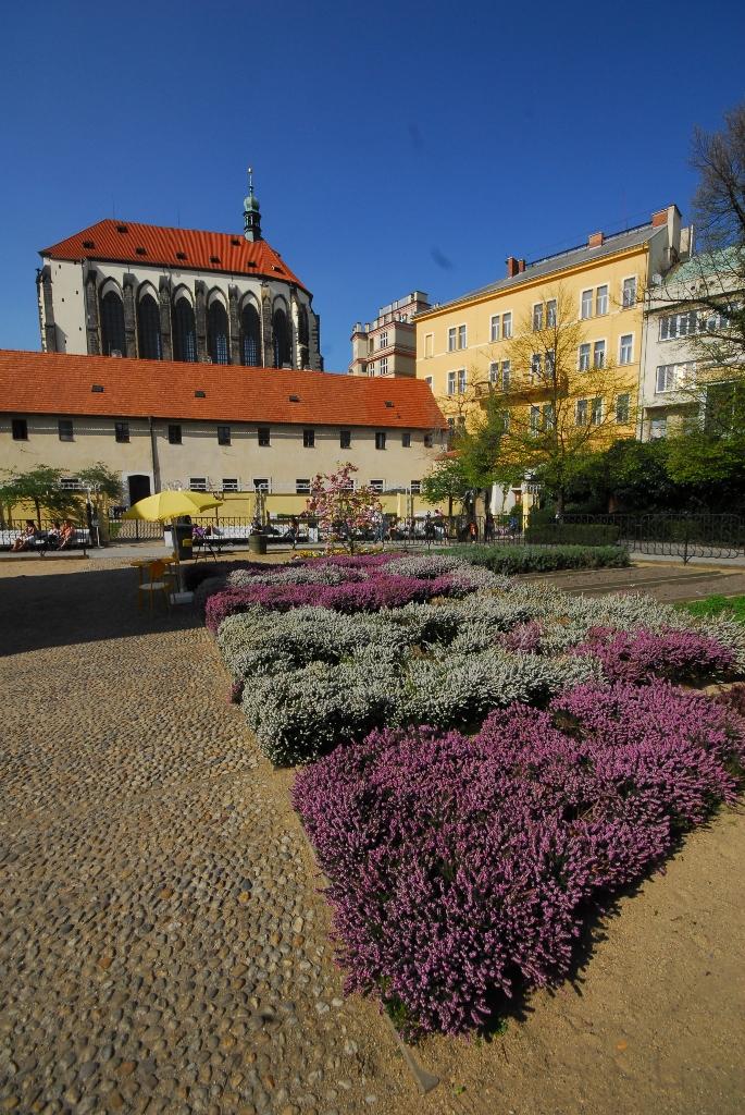 Františkánská zahrada, v pozadí Kostel Panny Marie Sněžné