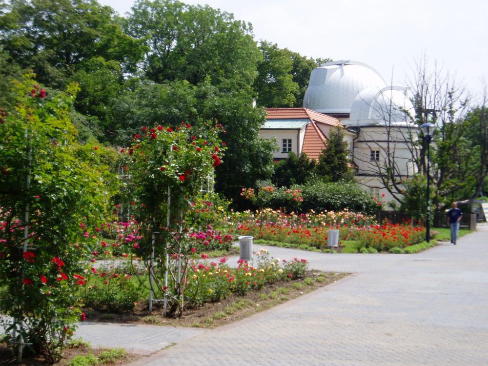 Růžová zahrada u Štefánikovy hvězdárny