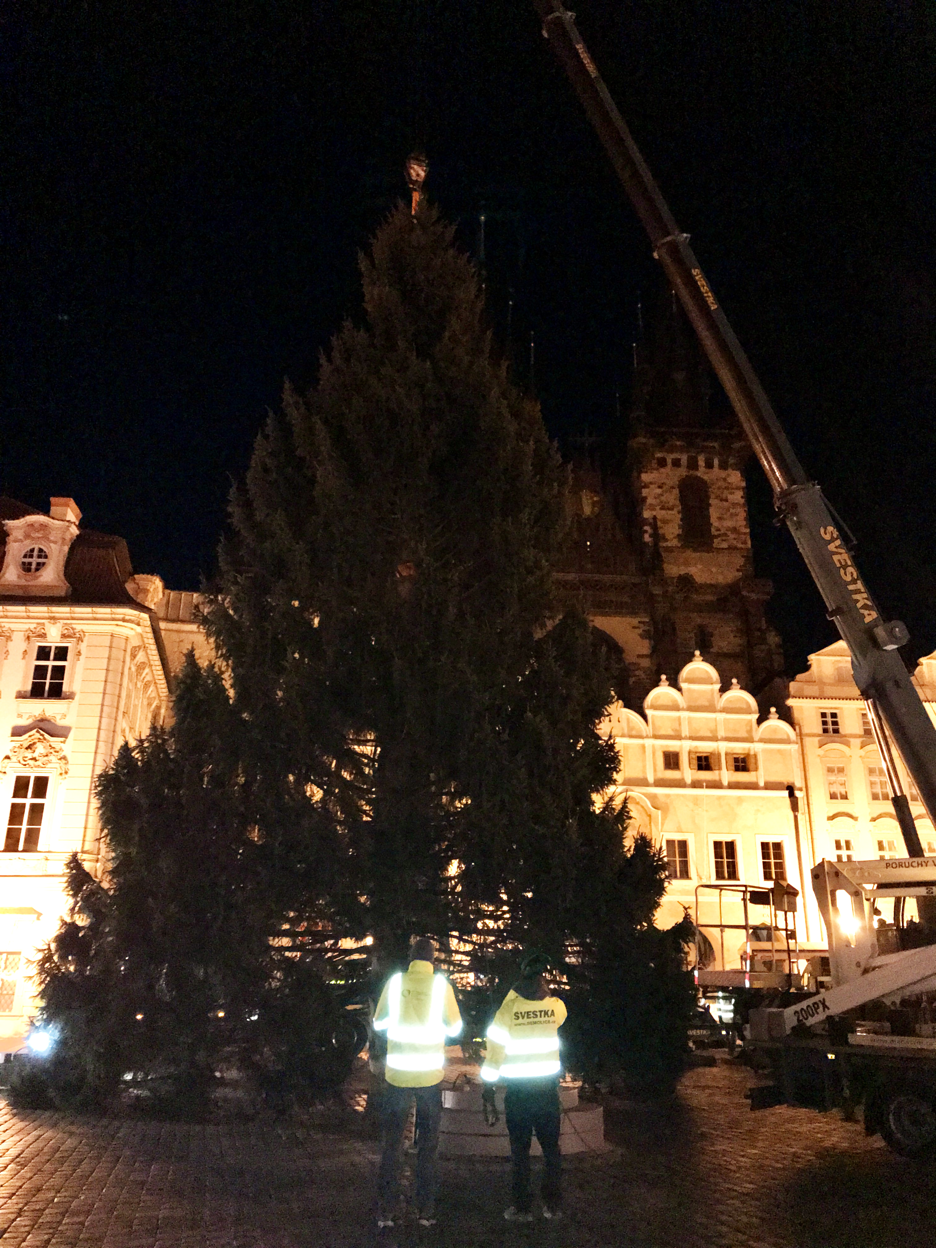 3337597_Vánoční strom na Staroměstském náměstí