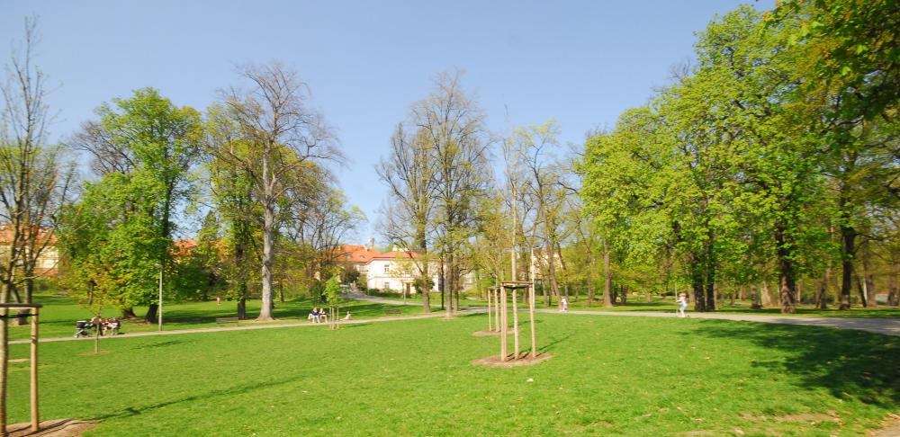 Louka v parku Klamovka
