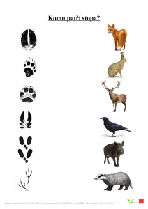 EVVO infomateriály pro děti - spojovačka - Stopy zvířat (pdf)