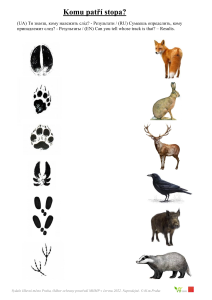 EVVO infomateriály pro děti - spojovačka - Stopy zvířat, str. A, vícejazyčné rev6/2022 (pdf)
