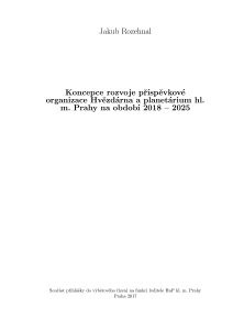 Koncepce_Rozehnal.pdf