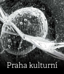 PRAHA Kulturní 2025 WEB 2s.pdf