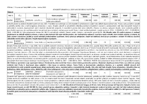 Návrh na přiznání jednoletých grantů nad 200 000 Kč. investiční