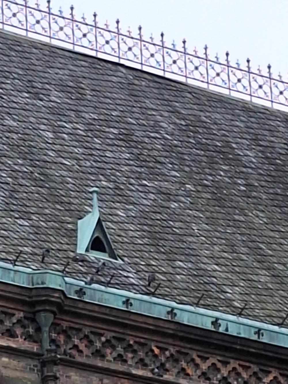 kostel sv. Ludmily_06