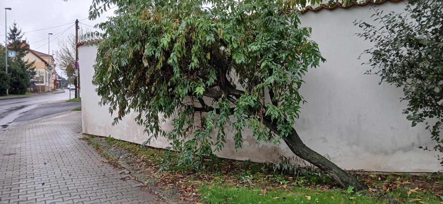 kostel sv. Prokopa_05