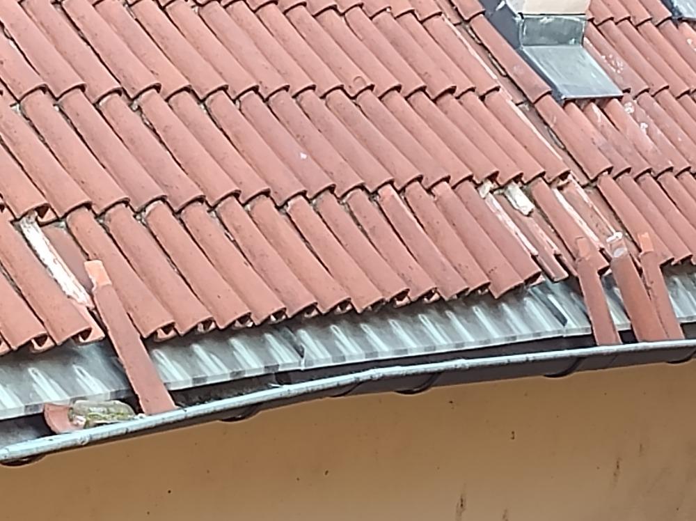 bartolomejska_pred_09