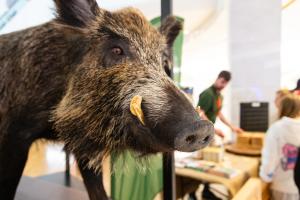 veletrh-org-evvo-2025_MG_0025