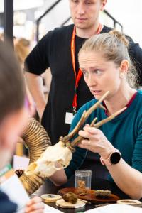 veletrh-org-evvo-2025_MG_0033