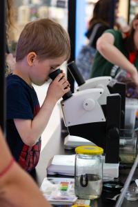 veletrh-org-evvo-2025_MG_0198