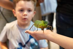 veletrh-org-evvo-2025_MG_0457