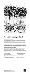 Výsadba listnatých stromů na Ostrčilově náměstí, infopanel Pro zdravé stromy v ulicích, pdf