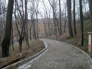 cesta_ve_svahu_zahrady_kinskych_v