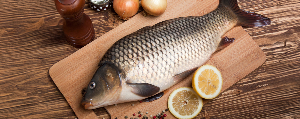 Kapři ve vánočním období