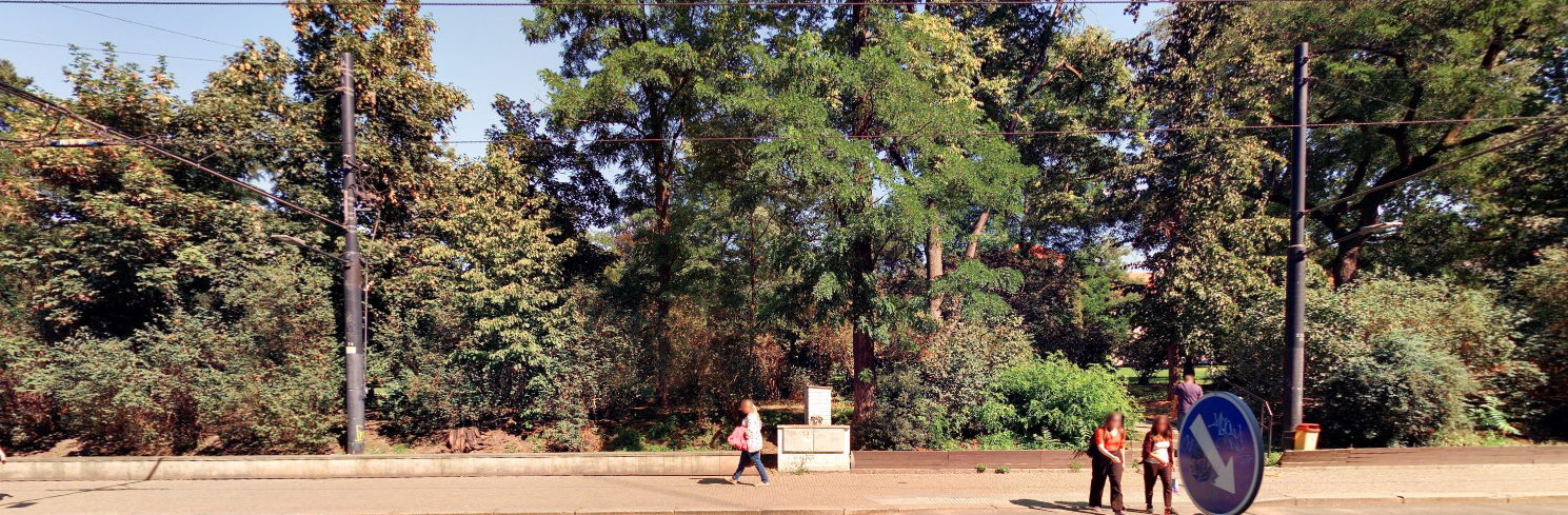 Karlovo náměstí - obvodová zeleň