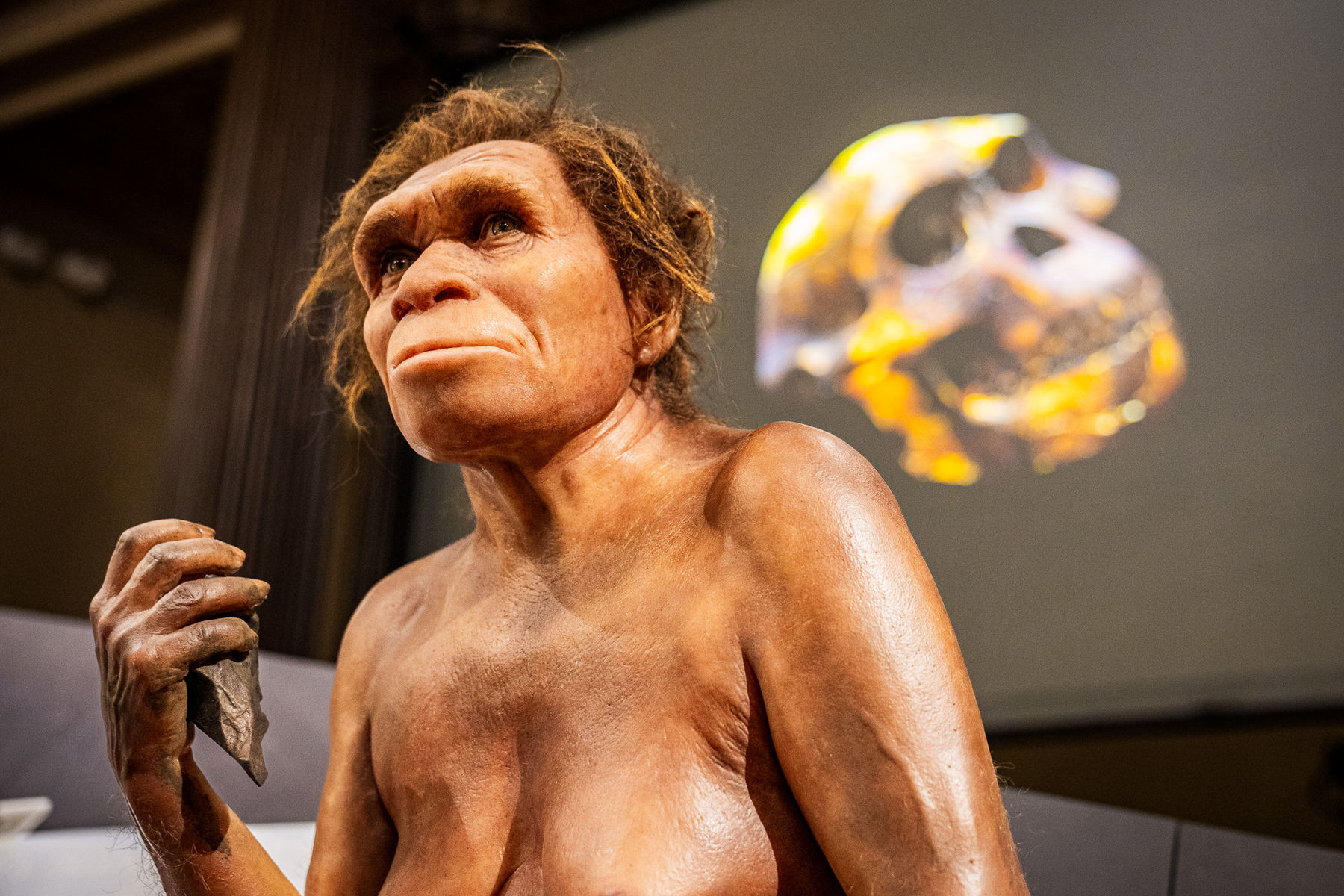 Z nové expozice v Národním muzeu