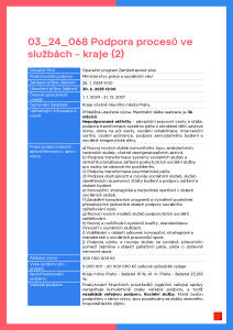 Výzva č. 03_24_068 Podpora procesů ve službách.docx