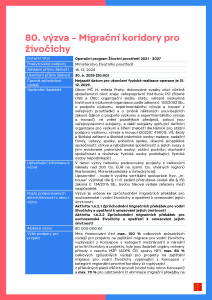80. výzva_Migrační koridory pro živočichy