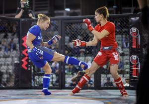 MMA_2016_Kozak_29