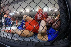 MMA_2016_Kozak_66