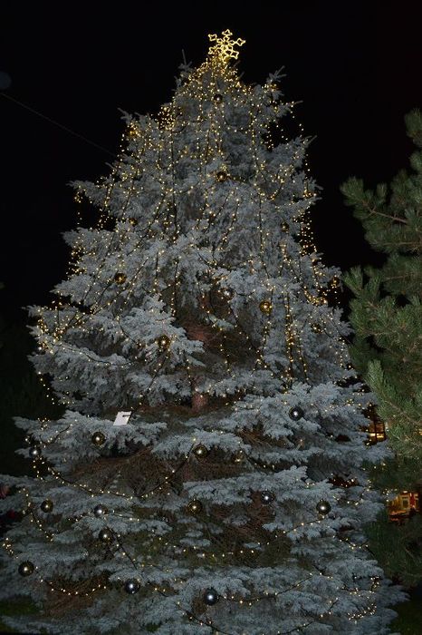 I v Řepích se rozzáří vánoční strom