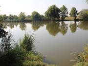 Pohled na rybník Brůdek na okraji Šeberova