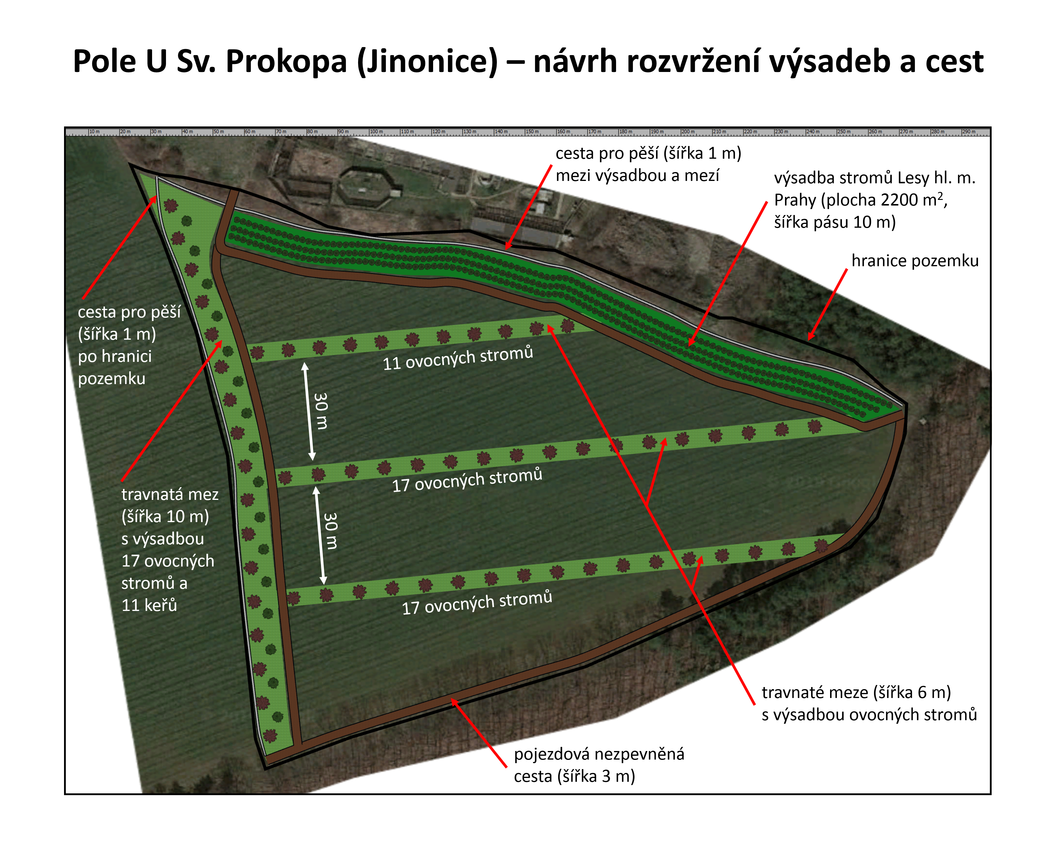 Pole U Sv. Prokopa - návrh výsadeb a cest