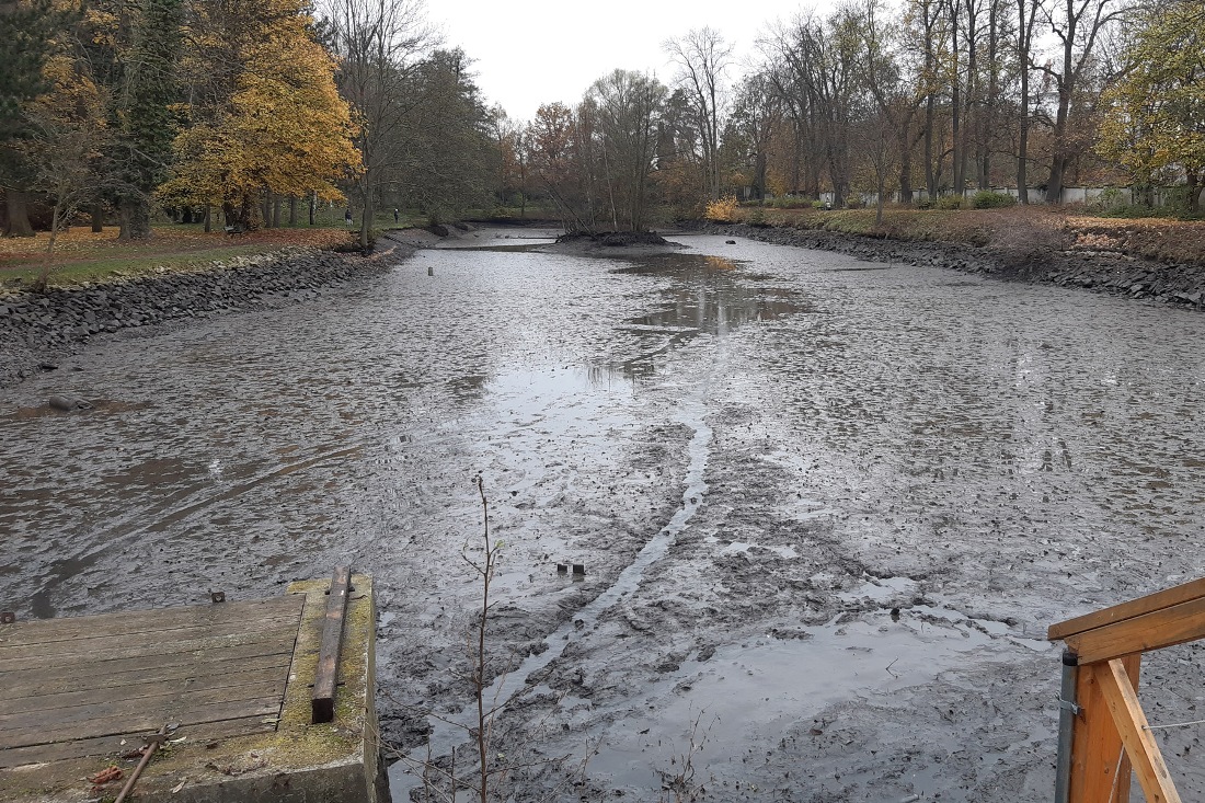 Revitalizace Zámeckého rybníka, 2021, ilustrační foto