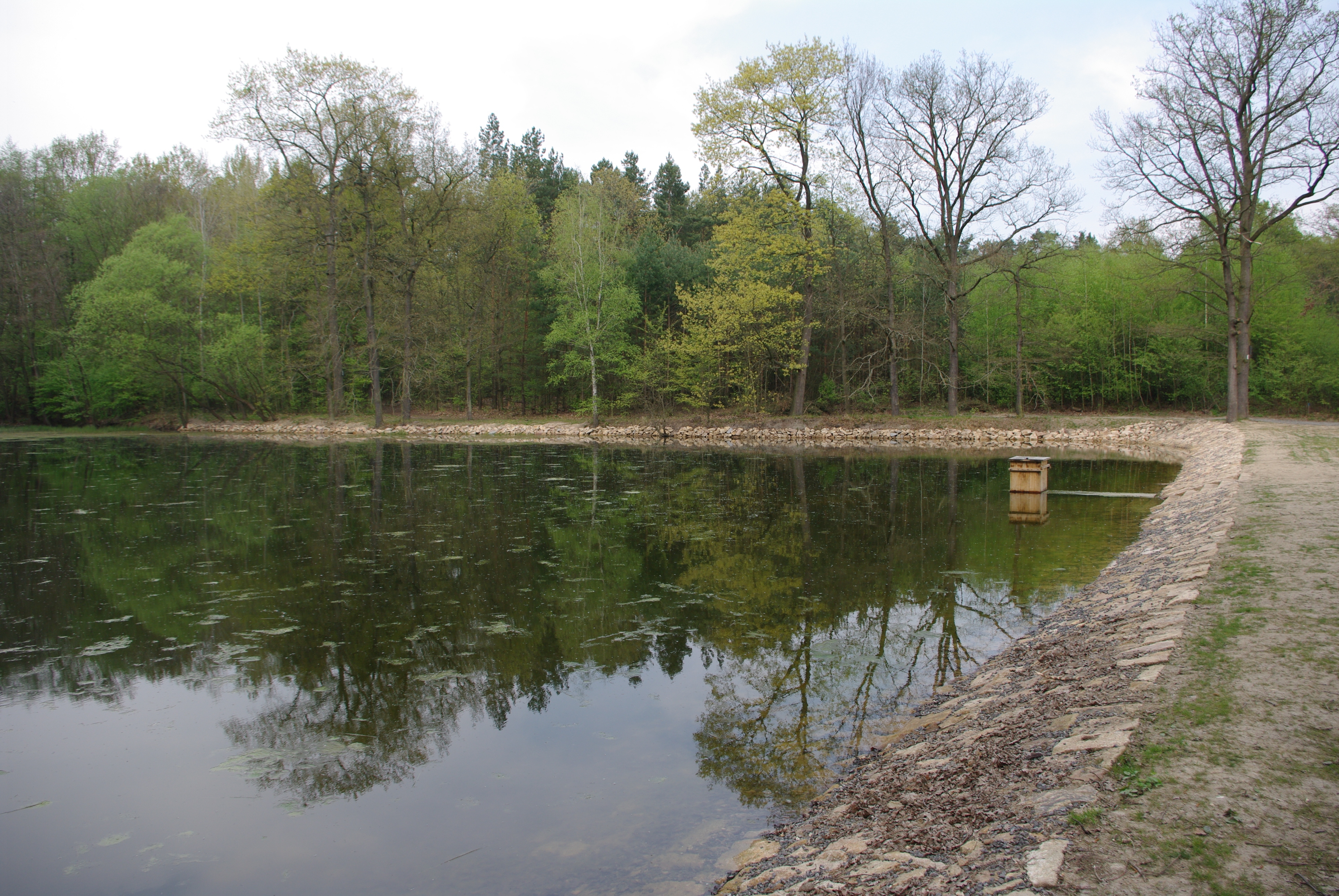 V Klánovickém lese byly opraveny dva rybníky