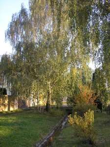 Pražské studánky - Na Pramenech - fotogalerie