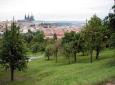 strahov garden  