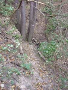 Pražské studánky - Staňkovka - fotogalerie