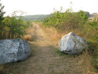 Svépravický potok - Cesta nedaleko PR V Pískovně
