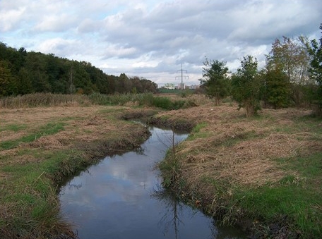 O vodě řízené i neřízené s Pavlem Koženým (hydrobiolog) a Martinem Suchardou (revitalizace toků). Foto: http://beleco.cz/pribehyceskeprirody/