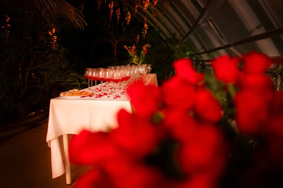 Valentýn ve skleníku Fata Morgana