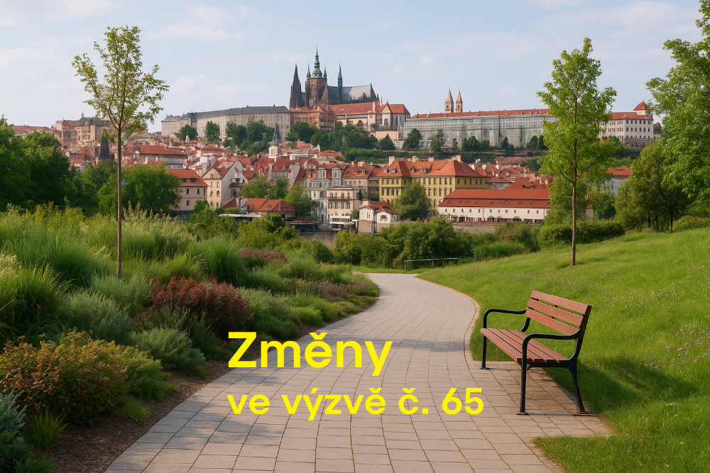 vyzva65