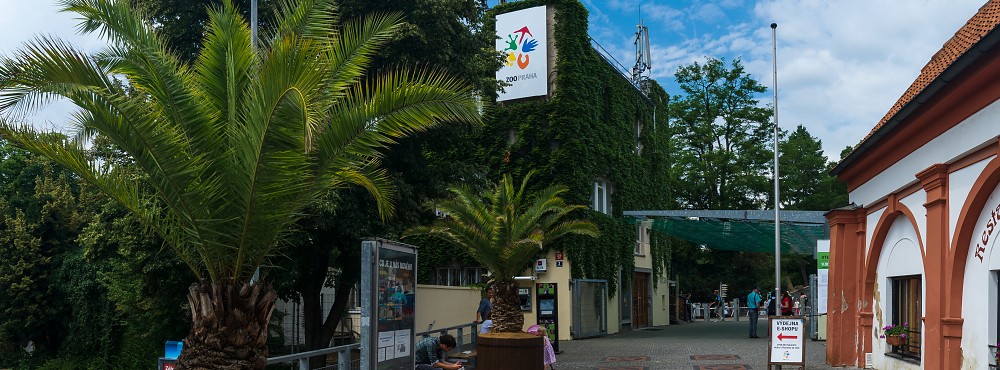 Ilustrační foto - Zoo Praha